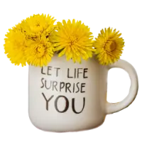 Service 4 Coffee cup with "Let life surprise you"