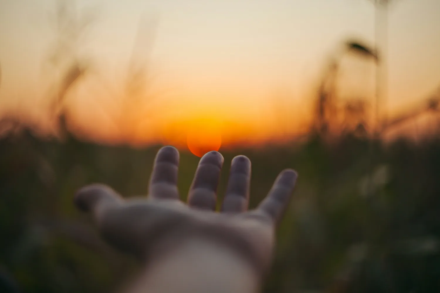 Connect with your Gifts