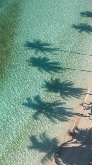 Palm trees' shadows on turquoise water and beach