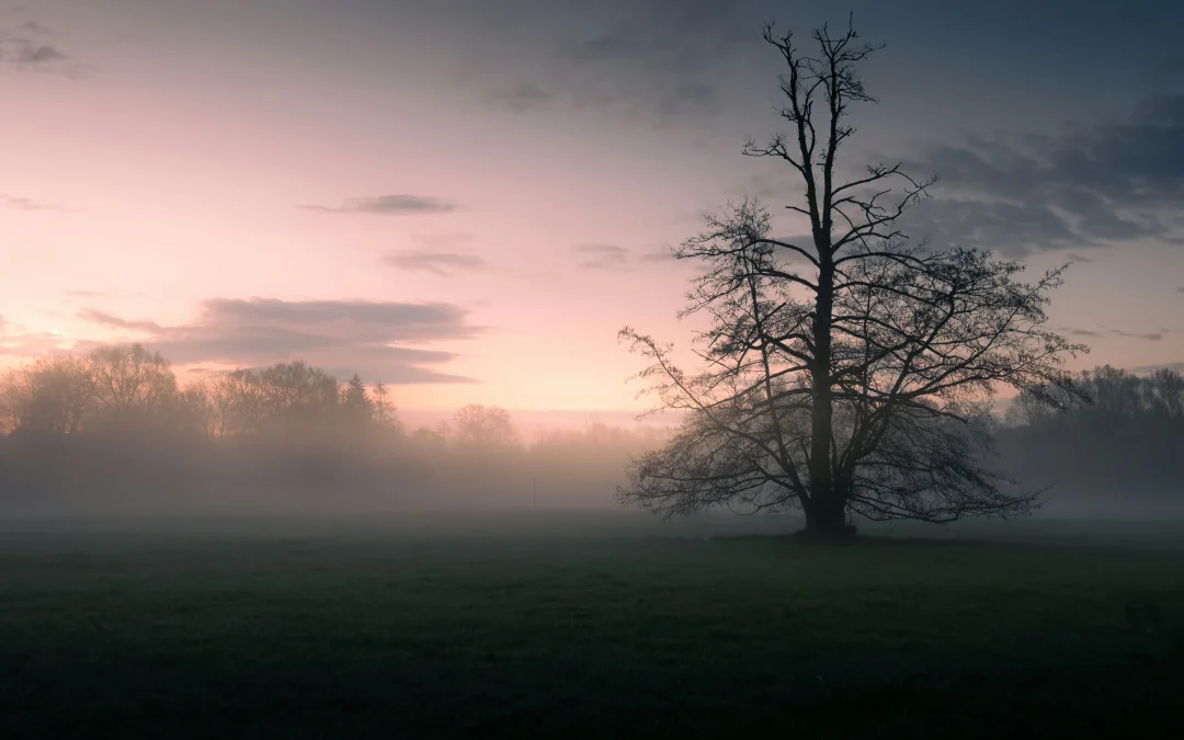 The Passage of Time